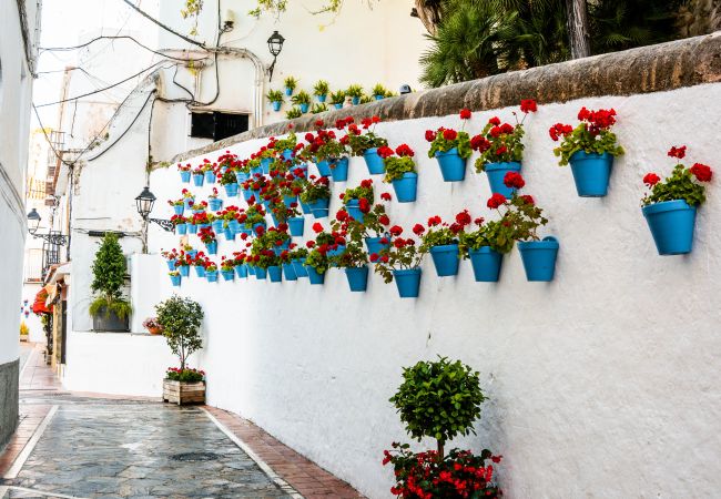 Apartamento en Marbella - Castillo 1F Apartamento en Marbella - Castillo 1F