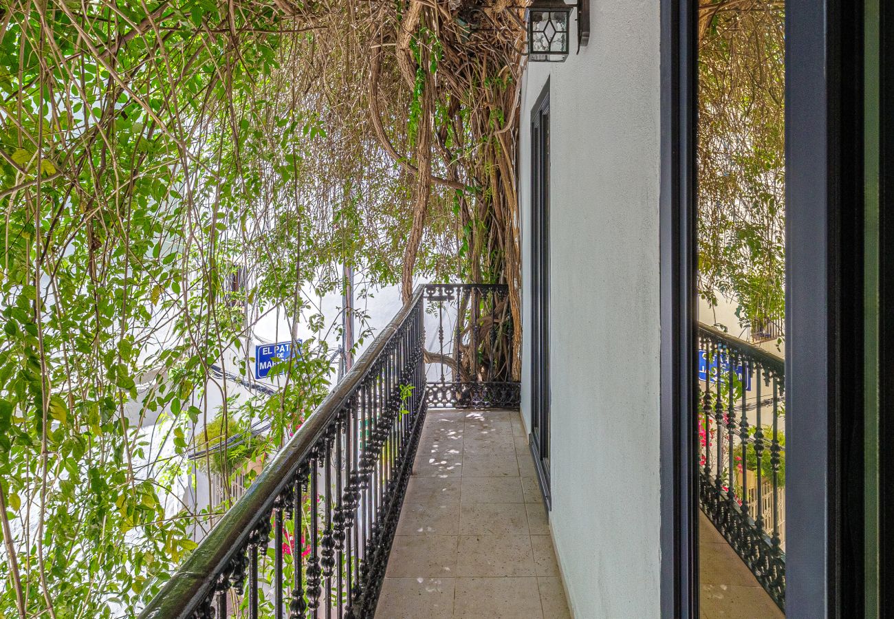 Estudio en Marbella - Ortiz La Enredadera