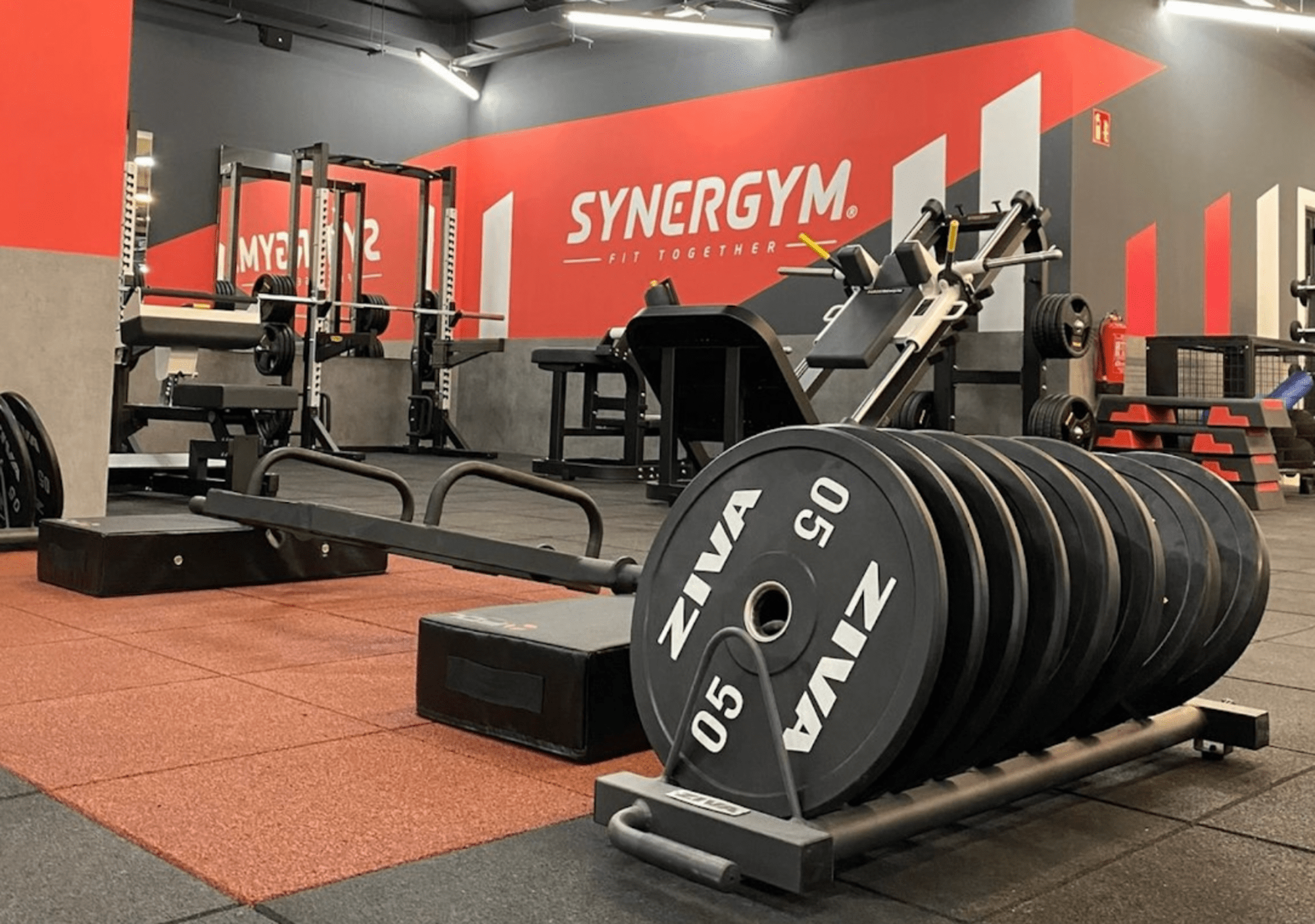 Synergym Marbella