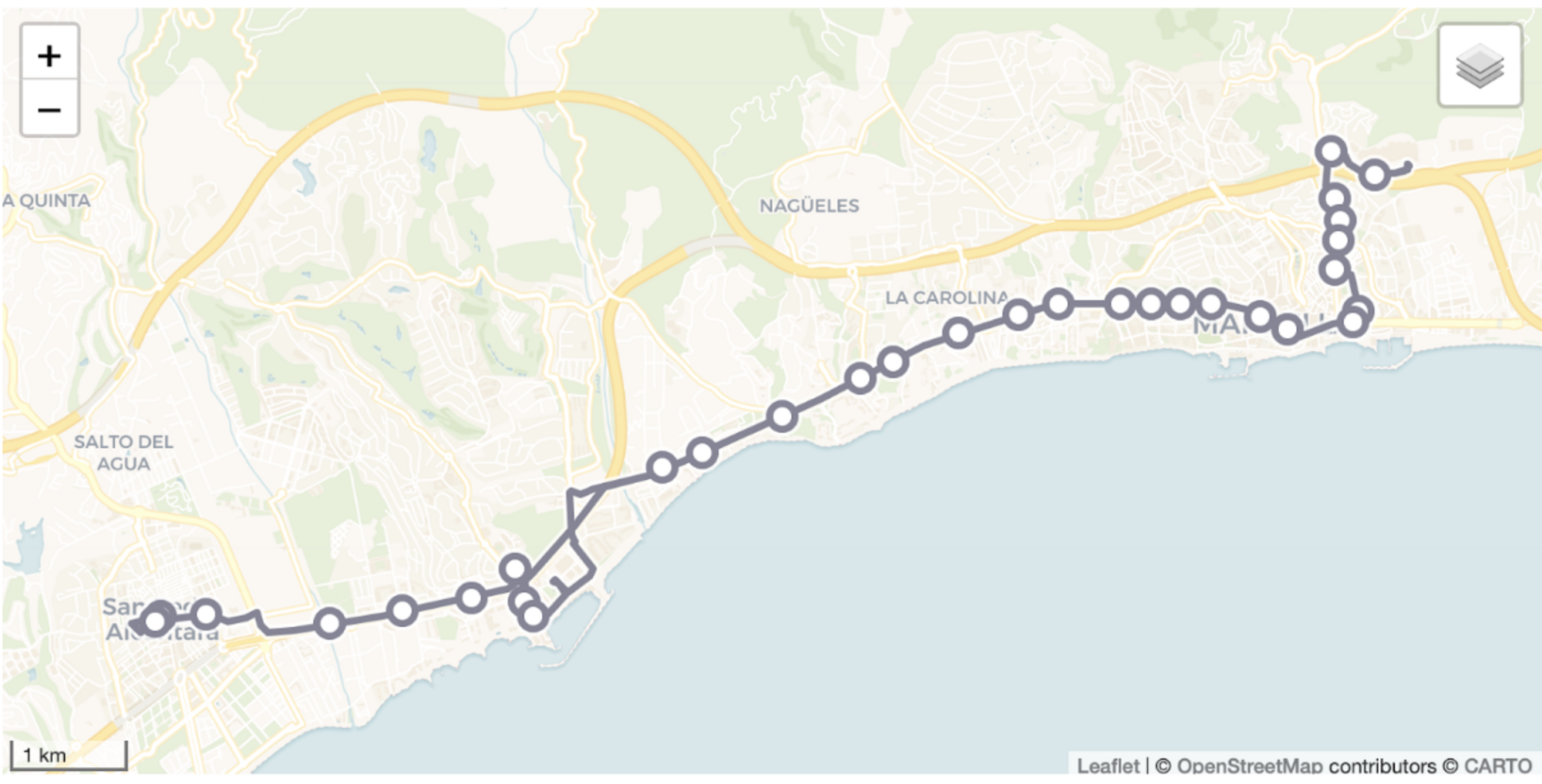 Line 8: C.C. La Cañada - San Pedro (Nocturno)