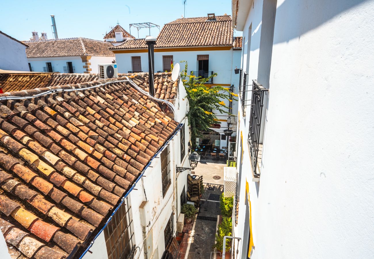 Ferienwohnung in Marbella - Ancha 10-2A