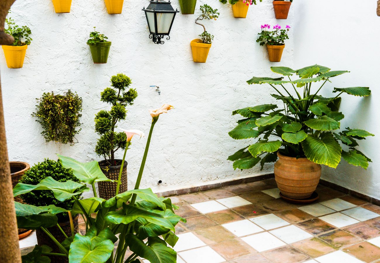 Appartement à Marbella - Castillo 0C